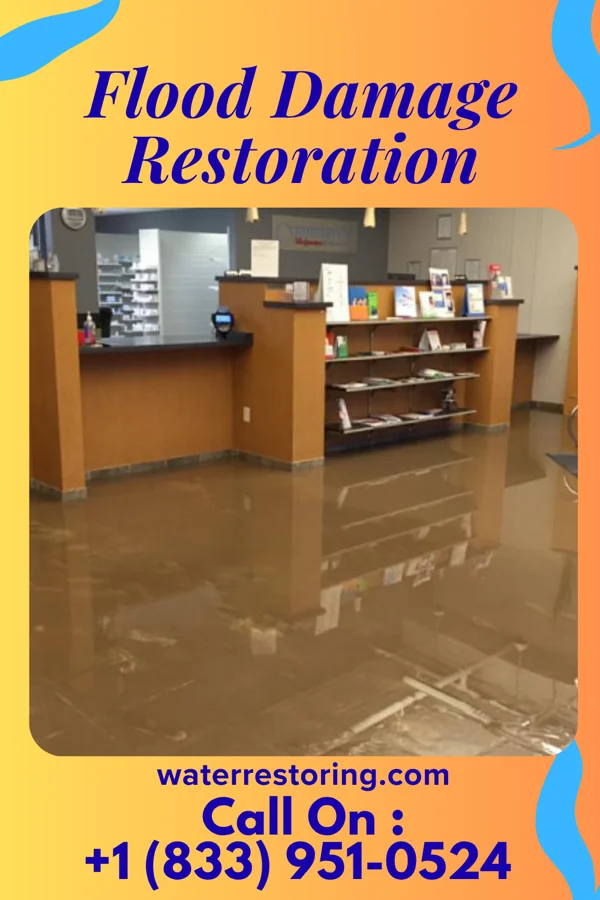 Flood Damage Restoration in Cheneyville, LA