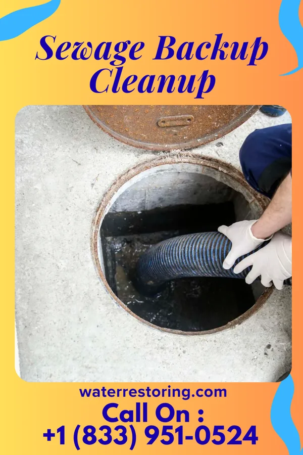 Sewage Backup Cleanup in Cheneyville, LA